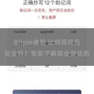 Bitpie体验 比特派钱包安全吗？专家详解其全面优势