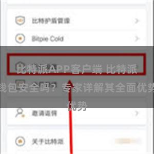 比特派APP客户端 比特派钱包安全吗？专家详解其全面优势