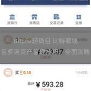 Bitpie轻钱包 比特派钱包多链资产管理技巧：全面攻略