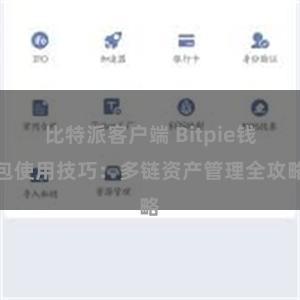 比特派客户端 Bitpie钱包使用技巧：多链资产管理全攻略