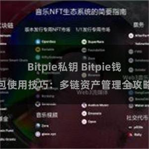 Bitpie私钥 Bitpie钱包使用技巧：多链资产管理全攻略