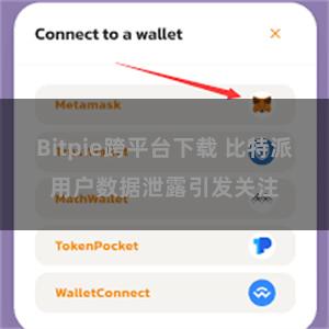 Bitpie跨平台下载 比特派用户数据泄露引发关注