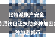 比特派账户安全  比特派钱包还扶助多种加密货币
