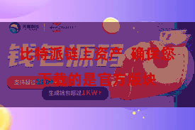 比特派链上资产  确保您下载的是官方版块