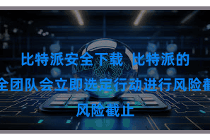 比特派安全下载  比特派的安全团队会立即选定行动进行风险截止