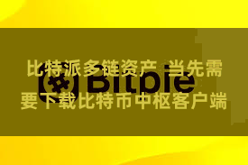 比特派多链资产  当先需要下载比特币中枢客户端