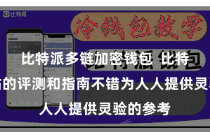 比特派多链加密钱包  比特派官方站的评测和指南不错为人人提供灵验的参考