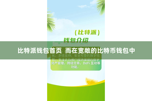 比特派钱包首页  而在宽敞的比特币钱包中