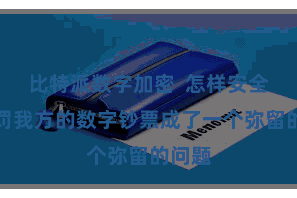 比特派数字加密  怎样安全地科罚我方的数字钞票成了一个弥留的问题