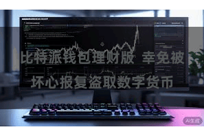 比特派钱包理财版  幸免被坏心报复盗取数字货币